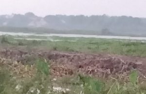 Tidak Memenuhi Standar Aturan, Proyek Sodetan di Pedamaran Telan Korban Jiwa