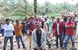 PT SWA Lakukan Tumbang Chipping, Warga Sungai Sodong Gelar Orasi Hingga Timbul Peristiwa Penembakan