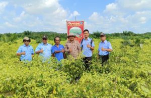 PT Sampoerna Agro Bantah Tak Berikan Plasma dan CSR ke Masyarakat Desa Gajah Mati