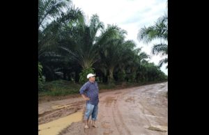 Ketua LIN OKI Pertanyakan Hak Plasma Milik Masyarakat Desa Gajah Mati