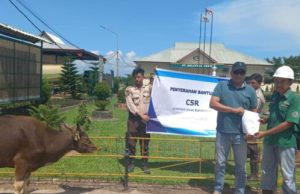 PT Kelantan Sakti Sumbang Seekor Sapi Kurban Untuk Desa Cinta Jaya