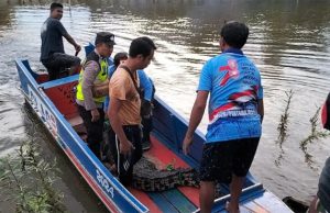 Lagi, Warga Sungai Menang Tangkap Buaya yang Masuk ke Dalam Tambak