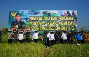 Sukseskan Swasembada Pangan, Pangdam II/Sriwijaya Panen Raya Padi di Lempuing OKI