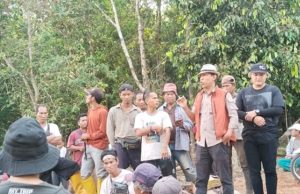 Pemkab OKI Tinjau Lahan yang Diduga Dijual Oknum Camat Pangkalan Lampam dan Kades Darat