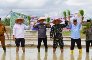 Topang Swasembada Pangan, Kementan Targetkan Cetak 125 Ribu Hektare Sawah Baru di OKI