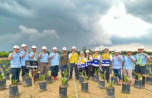 Kebun Plasma PT Sampoerna Agro Tbk Dikunjungi Kementerian PUPR/DJPI