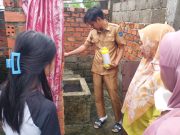 Musim Hujan Tiba, Waspada Lonjakan Kasus DBD