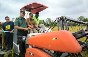 Sinergi TNI dan Petani Wujudkan Panen Melimpah di Desa Pemulutan Ulu OI