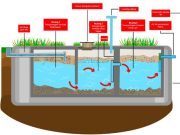 Pentingnya Menjaga Jarak Aman Antara Sumur Air dan Septic Tank