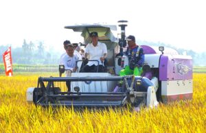 Oplah dan Brigade Pangan Sukses Dongkrak Produksi Padi di OKI