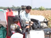 Wapres Gibran Panen Jagung dan Silaturahmi ke Ponpes di Banyuasin