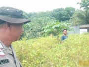 Bhabinkamtibmas Polsek Talang Kelapa Gerakkan Warga Dukung Program P2B Menuju Swasembada Pangan