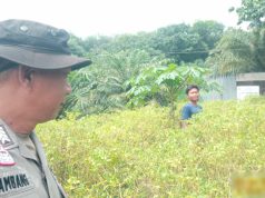 Bhabinkamtibmas Polsek Talang Kelapa Gerakkan Warga Dukung Program P2B Menuju Swasembada Pangan