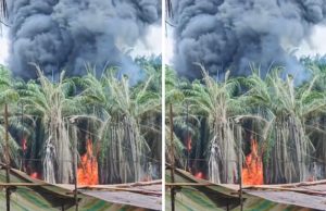 Penegakan Hukum Mandul, Usaha Ilegal di Muba Kian Menjamur