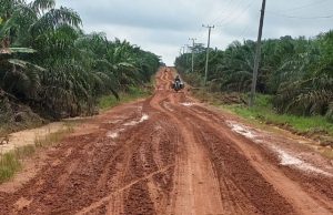 Akses Pendidikan dan Ekonomi Warga Lumpuh, Ruas Jalan Sumber Deras–Pematang Panggang Rusak Parah Terendam Banjir