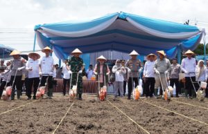 Pemkab OKI Dukung Polri Tanam Jagung Serentak Kuartal IV
