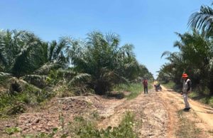 Hujan Deras Sebabkan Jalan di Mesuji Raya Rusak Parah, BPBD OKI Turunkan Tim TRC