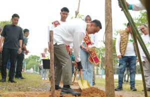 Penanaman 300 Pohon Tabebuya Warnai Peringatan HUT ke-80 Kabupaten OKI