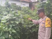 Bhabinkamtibmas Polsek Betung Ajak Warga Desa Sedang Dukung Program P2B dan Swasembada Pangan