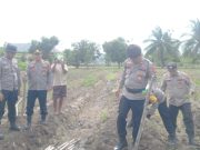 Kapolsek Muara Padang Pimpin Penanaman Jagung Serentak Kuartal IV Minggu ke-III
