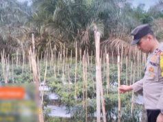 Bhabinkamtibmas Polsek Mariana Ajak Warga Dukung Program Swasembada Pangan Presiden