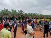 Desa Bukit Batu Mendadak Geger, Polda Sumsel Cek Lahan Plasma Bermasalah