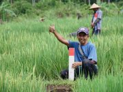 Mudik ke Kampung Halaman? Pastikan Batas Tanah Jelas untuk Cegah Konflik