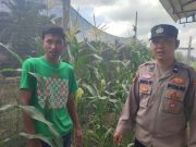 Bhabinkamtibmas Polsek Tanjung Lago Gencarkan Sosialisasi P2B, Dukung Swasembada Pangan Nasional