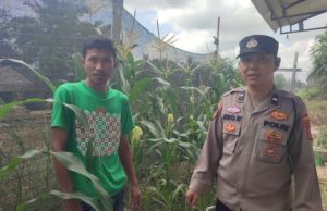 Bhabinkamtibmas Polsek Tanjung Lago Gencarkan Sosialisasi P2B, Dukung Swasembada Pangan Nasional