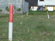 Tips Menjaga Tanah agar Tidak Diserobot Orang Lain