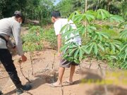 Aipda Erwin Sulap Pekarangan Warga Jadi Kebun Produktif di Banyuasin