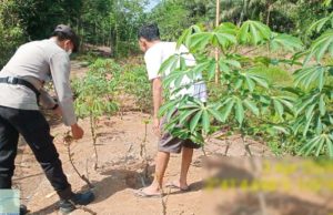 Aipda Erwin Sulap Pekarangan Warga Jadi Kebun Produktif di Banyuasin