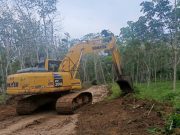 Percepat Akses Desa, Satgas TMMD Kodim 0402/OKI Genjot Pembukaan Jalan Baru