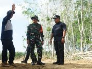 Dandim dan Wabup OKI Pastikan Progres TMMD Pembukaan Jalan Berjalan Optimal