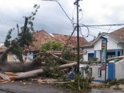 Pagar Kantor Kelurahan Sidakersa Rusak, Pohon Tumbang Tutup Akses Jalan
