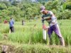 Pasang Patok, Cara Sederhana Mencegah Sengketa Tanah dengan Tetangga