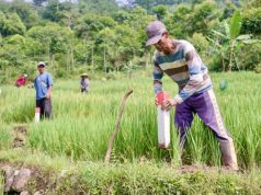 Pasang Patok, Cara Sederhana Mencegah Sengketa Tanah dengan Tetangga