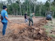 TMMD Ke-128 Kodim 0402/OKI Ubah 1,5 Hektar Lahan Jadi Kebun Jagung Produktif