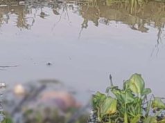 Mayat Mr X Ditemukan Mengapung di Sungai Musi