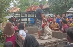 Penemuan Tengkorak Misterius di SP Padang, Polisi Lakukan Identifikasi