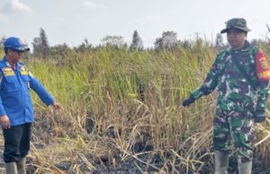 Babinsa Koramil 402-13/Sungai Menang Berjibaku Padamkan Karhutla di Desa Sungai Tepuk