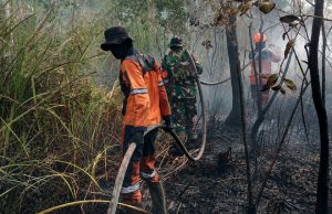 Danramil 402-07/Indralaya Bersama Babinsa Berjibaku Padamkan Karhutla di Desa Pulau Semambu