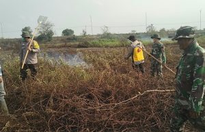 Babinsa Koramil 402-03/SP Padang Padamkan Karhutla Seluas 6 Hektare di Desa Batun Baru