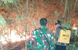 Gerak Cepat Babinsa Koramil 402-10/Kayuagung Padamkan Karhutla di Muara Burnai 1