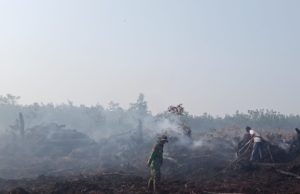 Api Lahap 1 Hektare Lahan, Babinsa Koramil 402-11/Tulung Selapan Turun Tangan