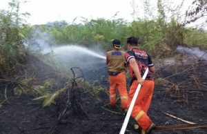 Karhutla Kembali Terjadi, BPBD Muba Catat 11,5 Hektare Lahan Terbakar