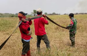 Pantang Menyerah, Babinsa Koramil 402-02/Pedamaran Kendalikan Karhutla di Pedamaran V