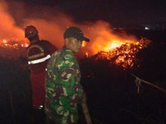 Lahan Terbakar di Jejawi OKI, Petugas Gabungan Berpacu Cegah Api Meluas