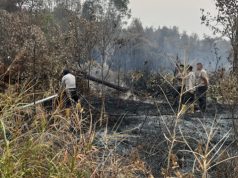 Satgas Karhutla Polda Sumsel Padamkan Kebakaran Lahan 2 Hektare di Bakung