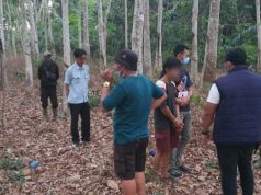 Curi Tandan Sawit di Kebun Hikmah II PT PAR, Pria Ini Ditangkap Polisi